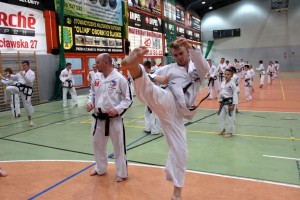 Taekwondo Toruń Działdowo Mława (9)
